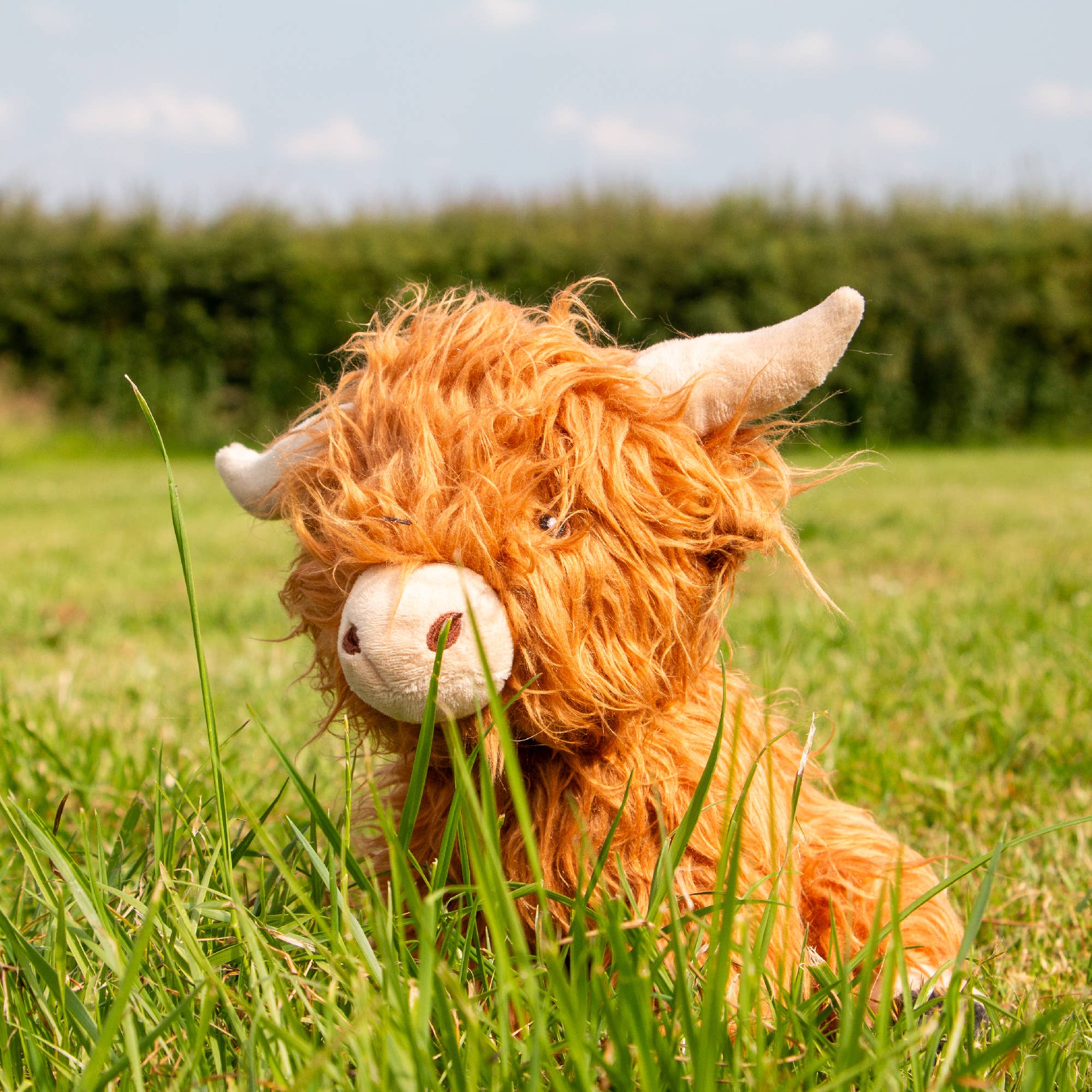 Heritage Fergus Highland Cow - Image 4