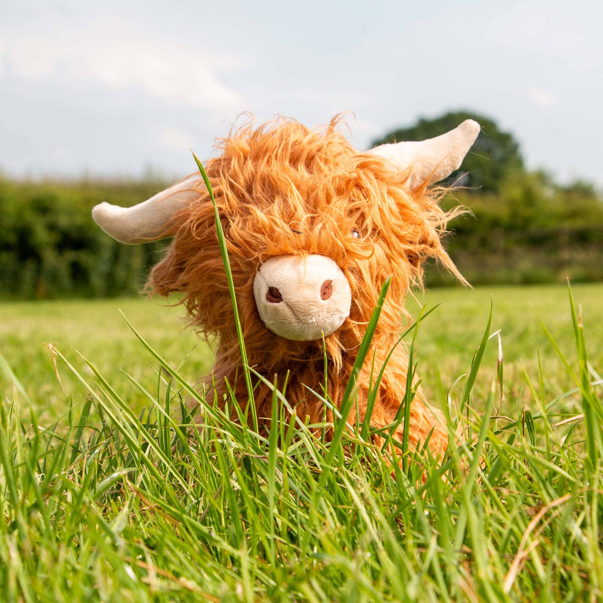 Heritage Fergus Highland Cow - Image 8