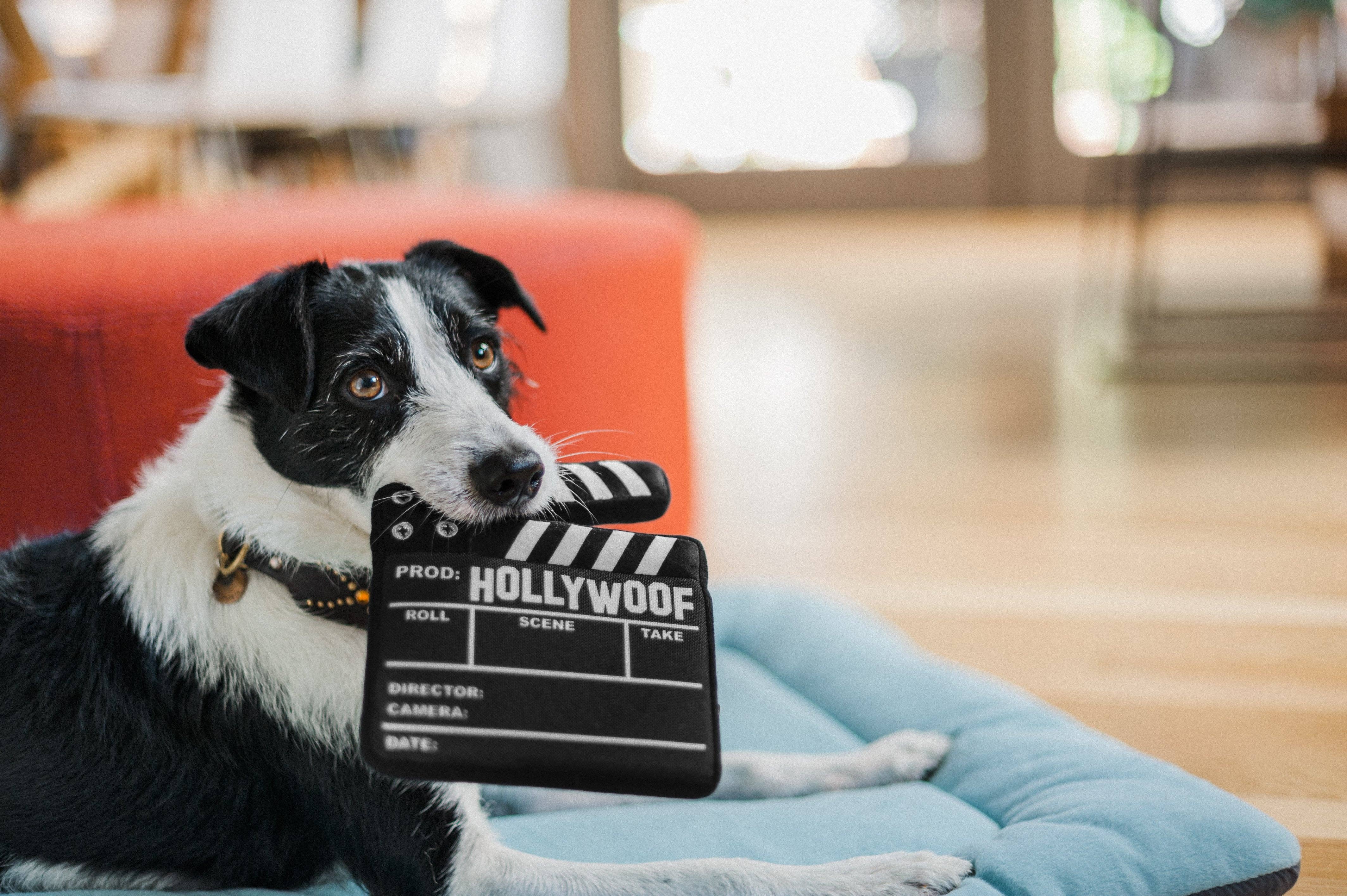 Hollywoof Doggy Director Board Dog Toy - Image 2