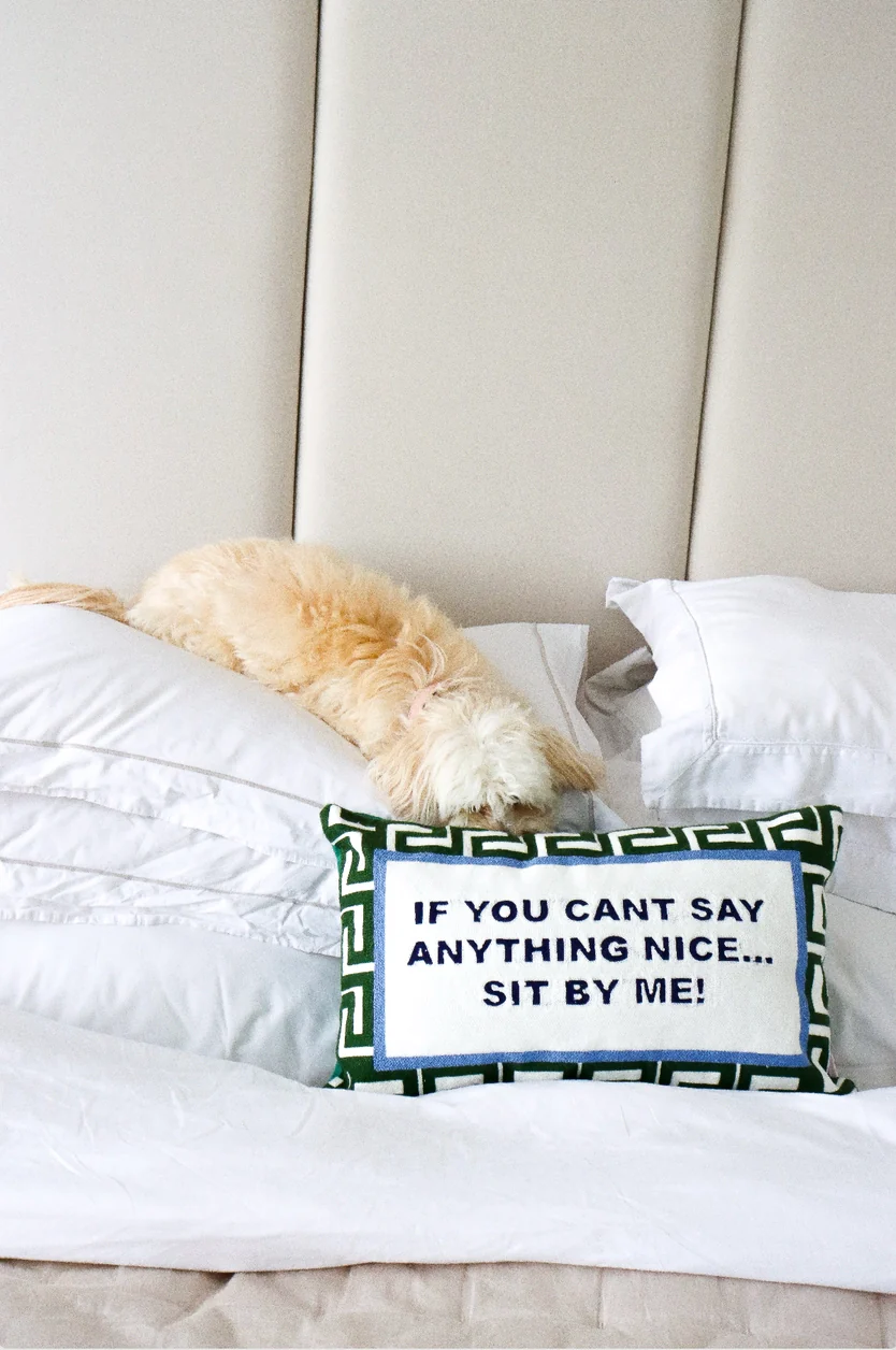If You Can't Say Anything Nice...Sit By Me Needlepoint Cushion - Image 3