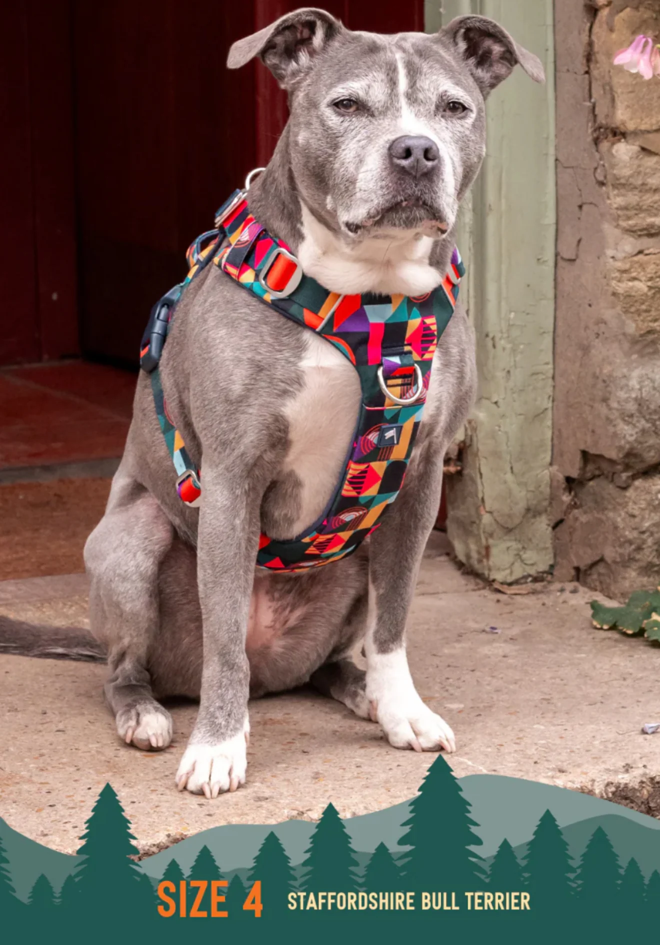 Aurora Adventure Harness 2.0 - Image 6