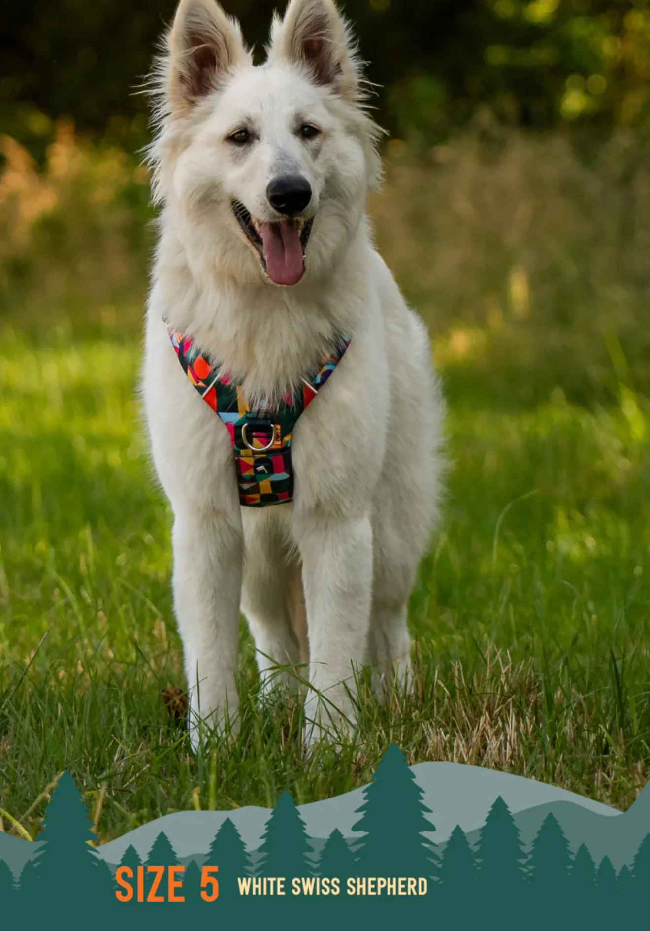 Aurora Adventure Harness 2.0 - Image 7