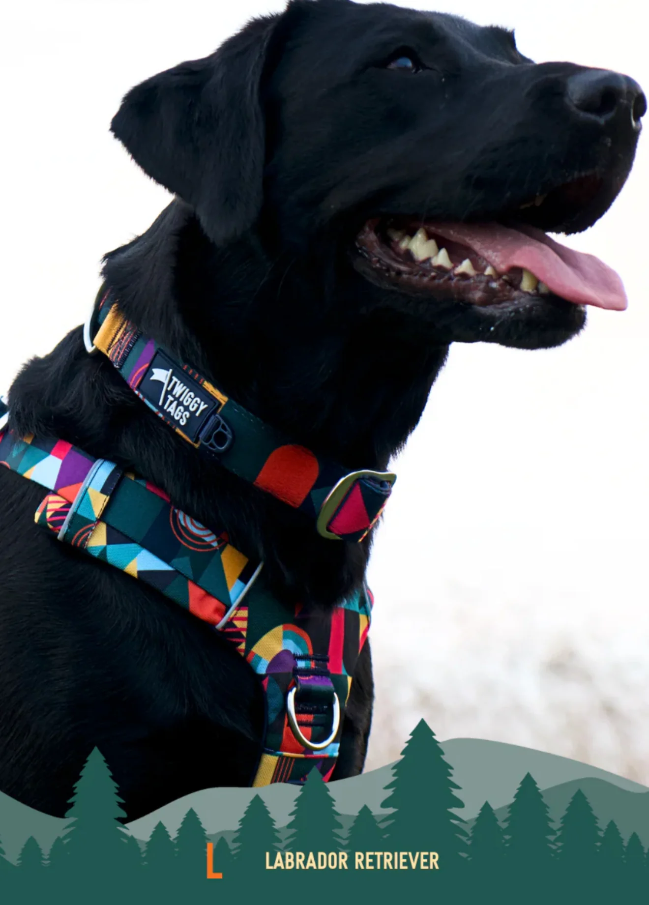 Lagoon Comfort Collar - Image 3