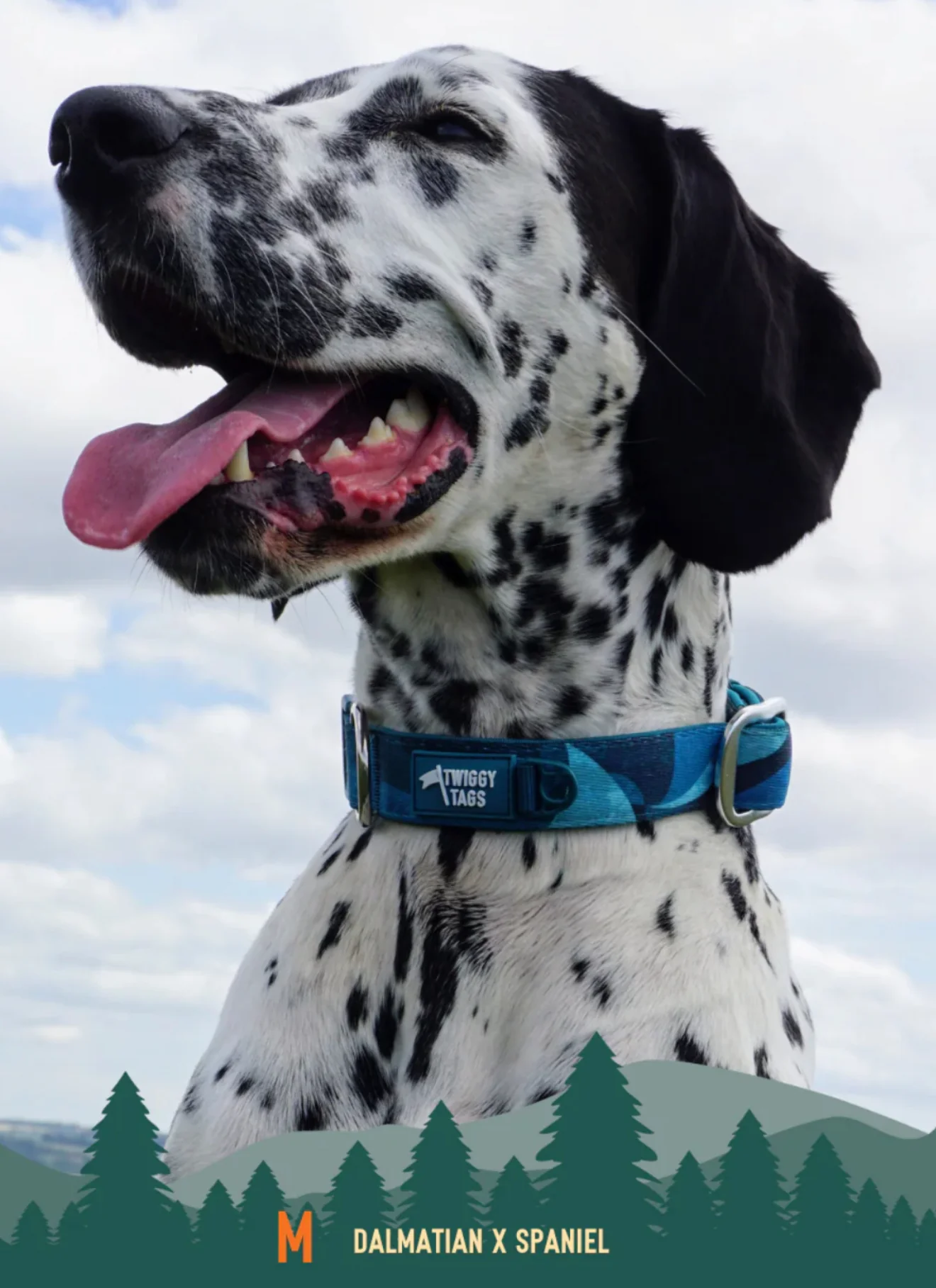 Lagoon Comfort Collar - Image 4