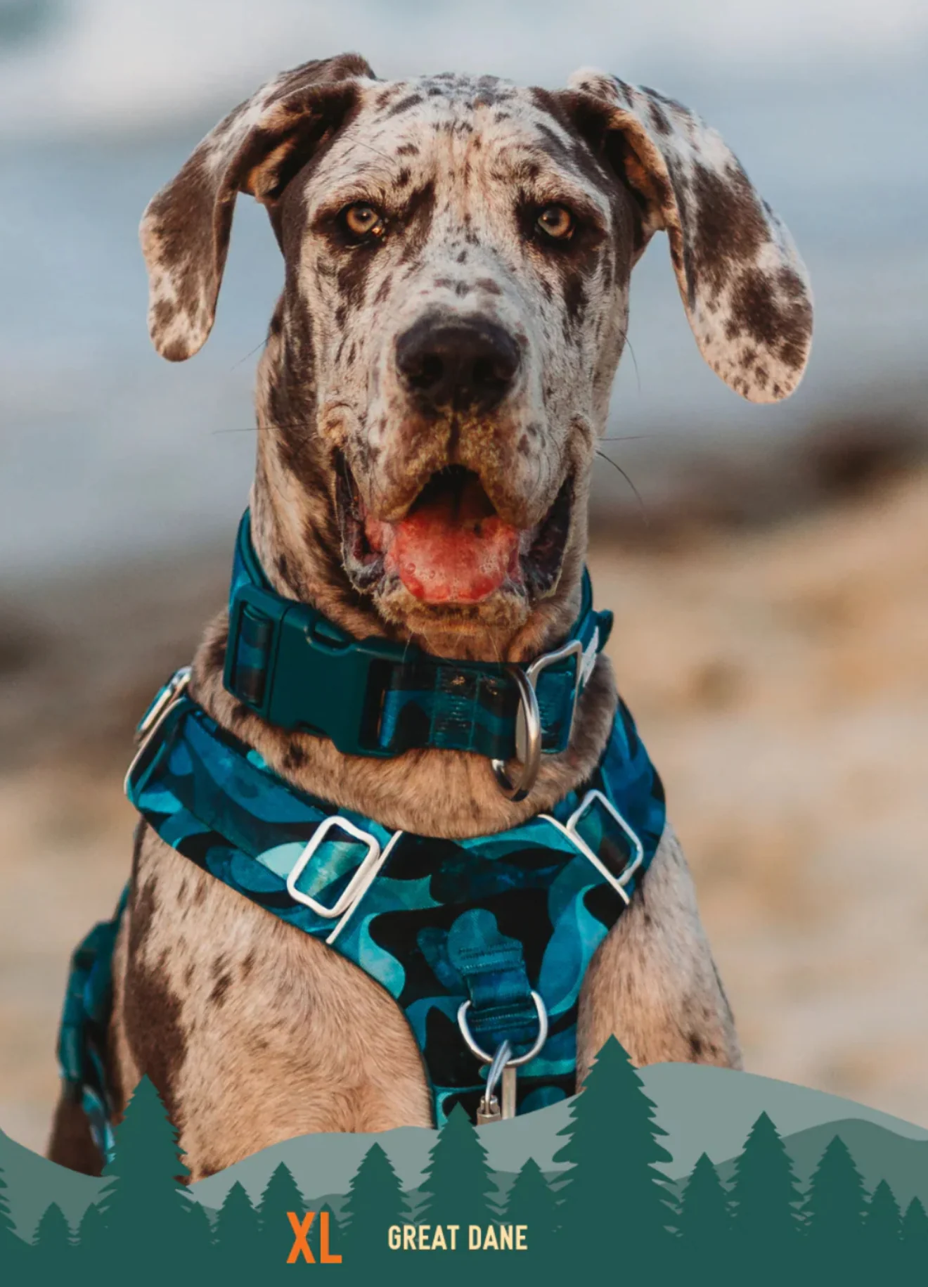 Lagoon Comfort Collar - Image 5