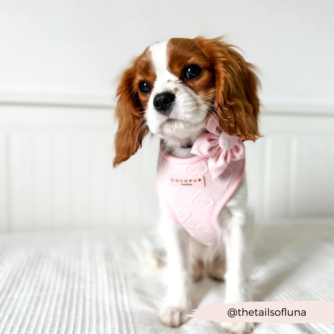 LUXE Baby Pink Heart Collar Flower - Image 4