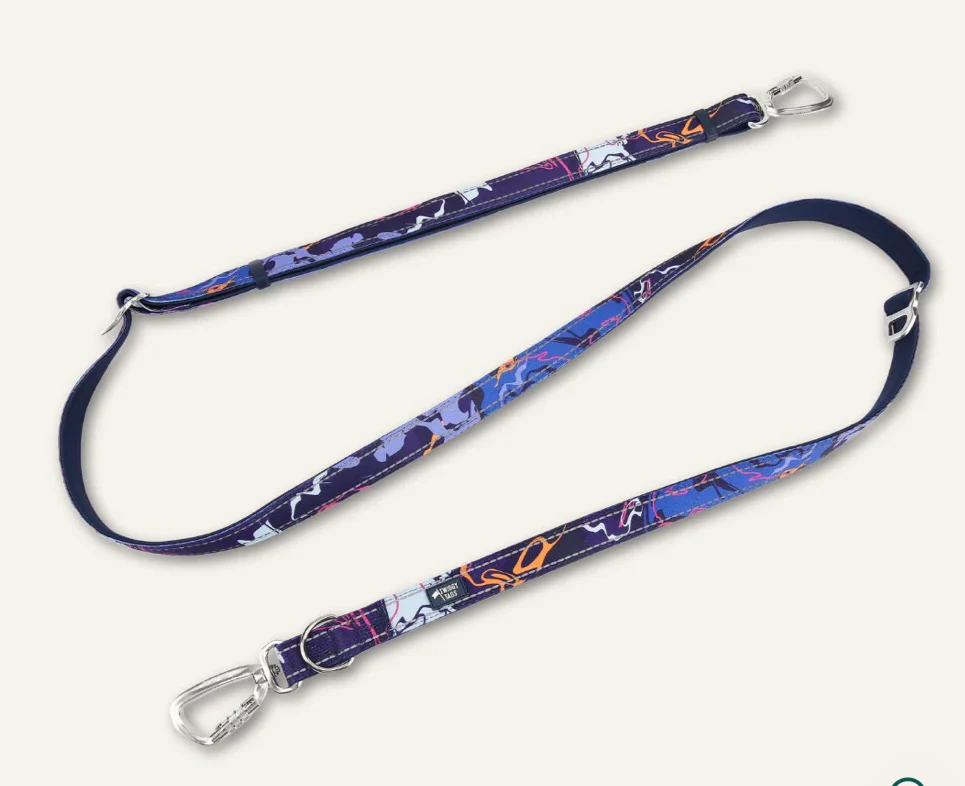 Multi-Way Lead - Nebula