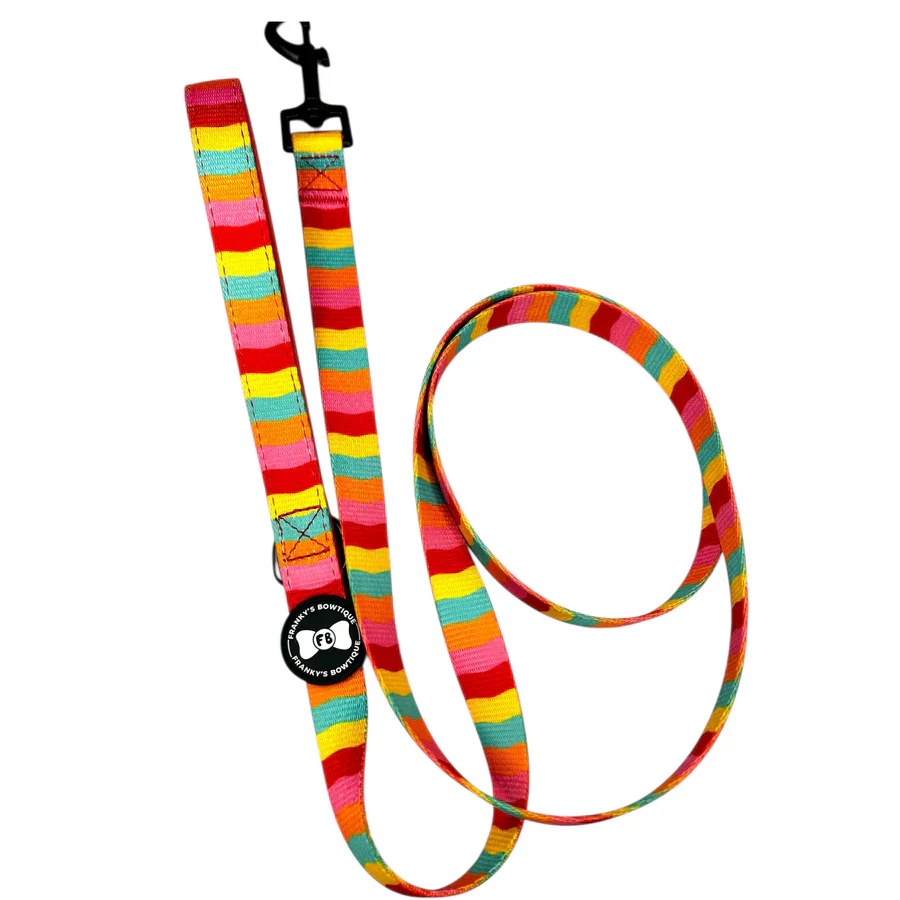 Dog Lead - Rainbow Riot