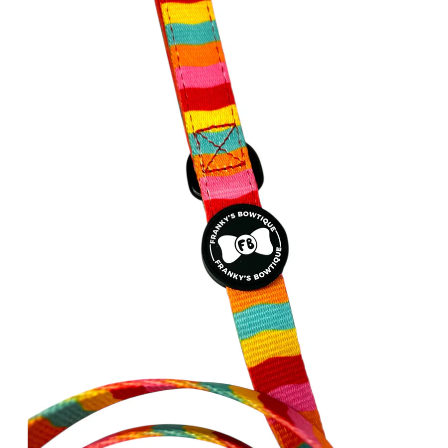 Dog Lead - Rainbow Riot - Image 2