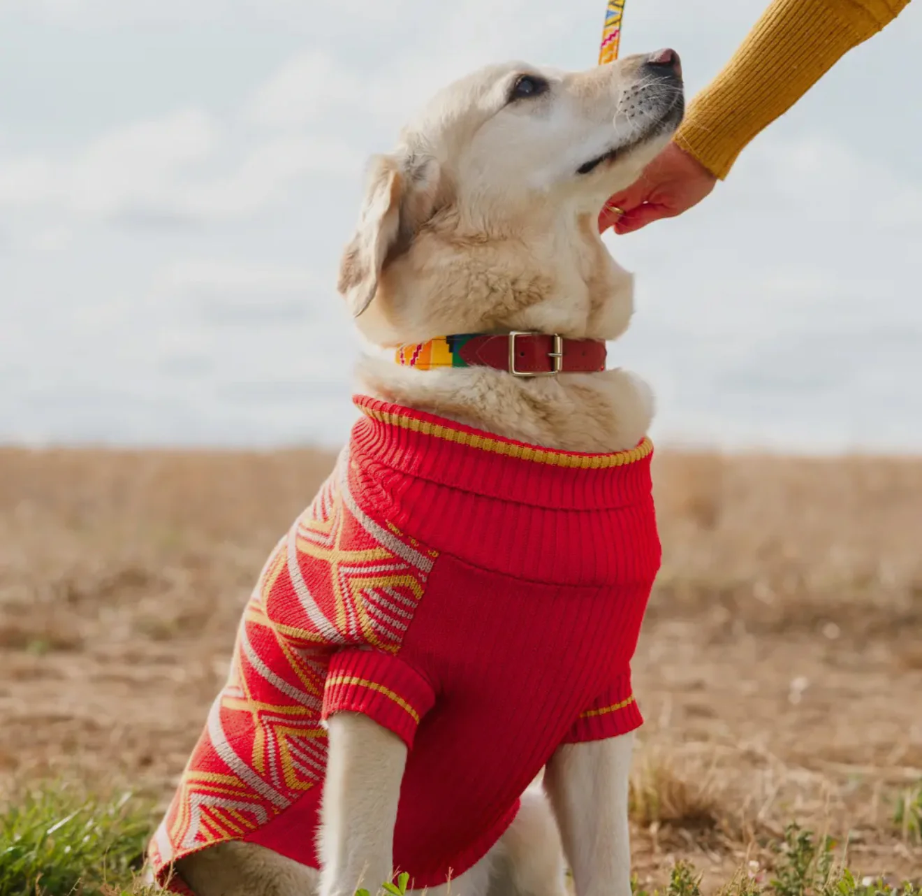 'New Horizons' Dog Jumper - Image 3