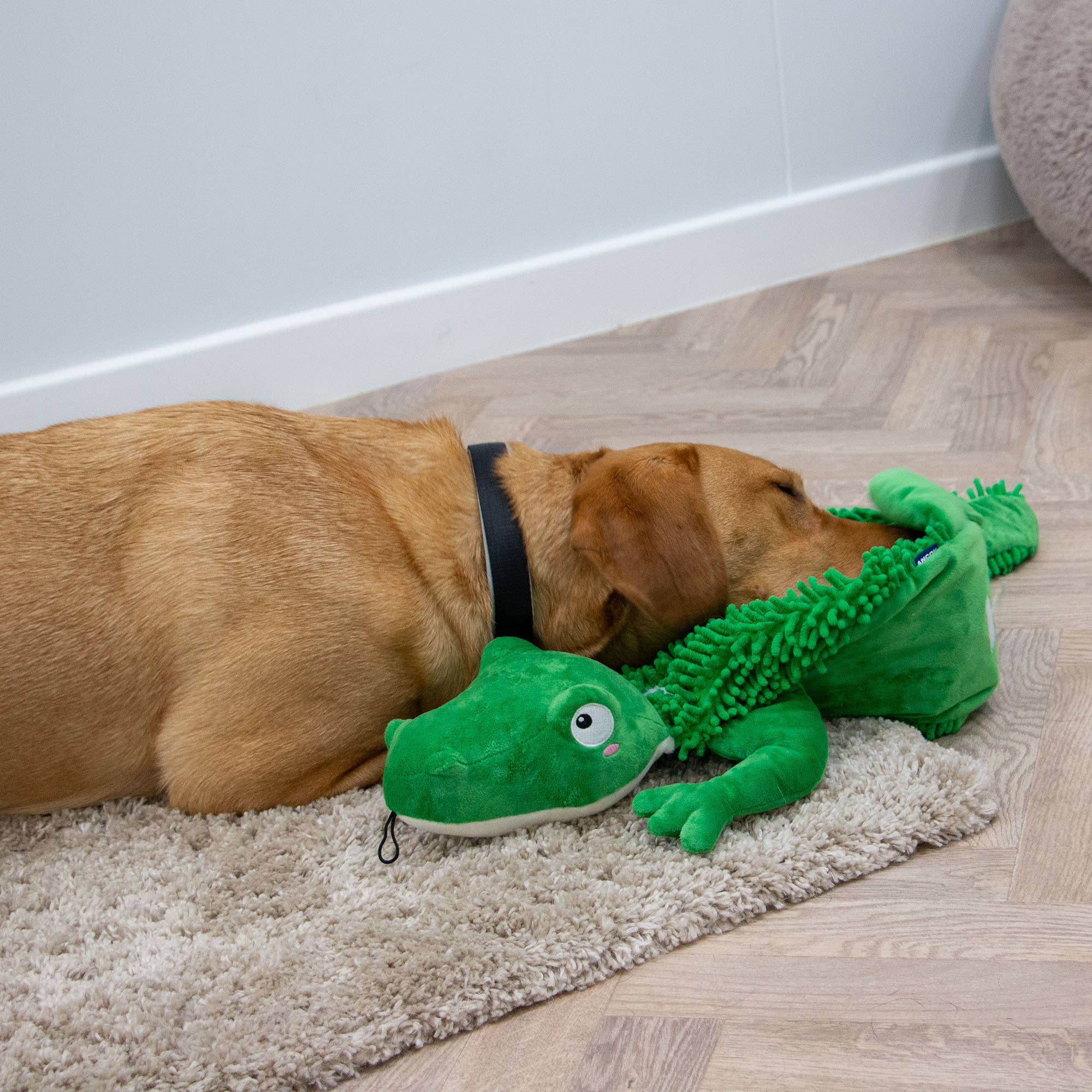 Örva Snuffle Croc Rollable Mat - Image 6