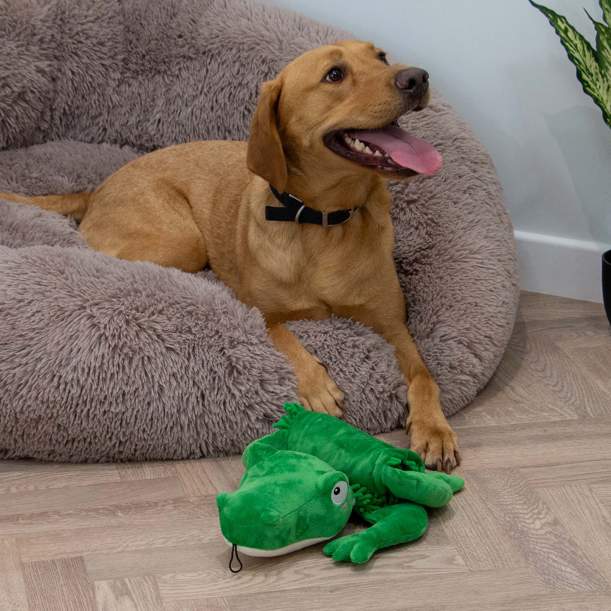 Örva Snuffle Croc Rollable Mat - Image 7