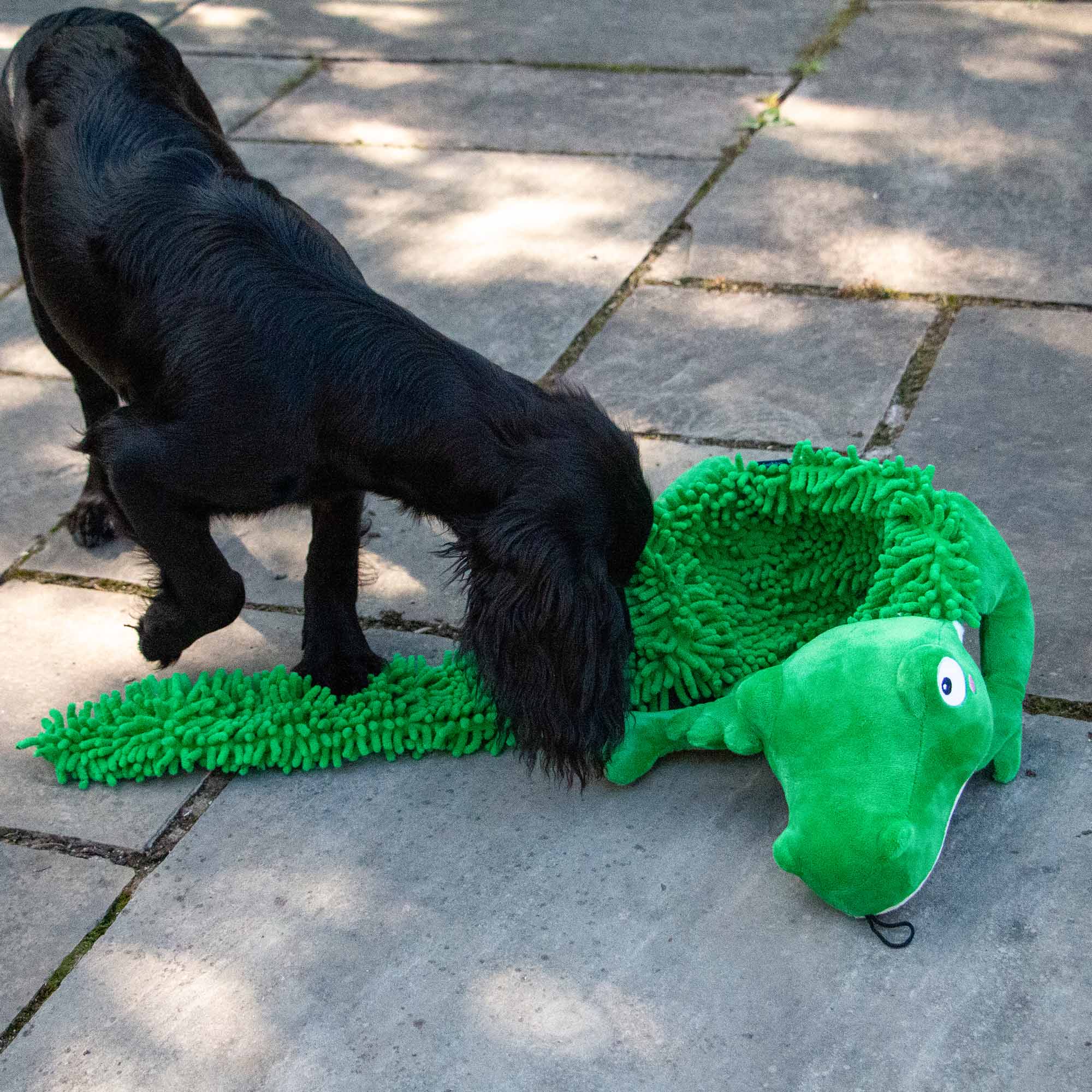 Örva Snuffle Croc Rollable Mat - Image 8