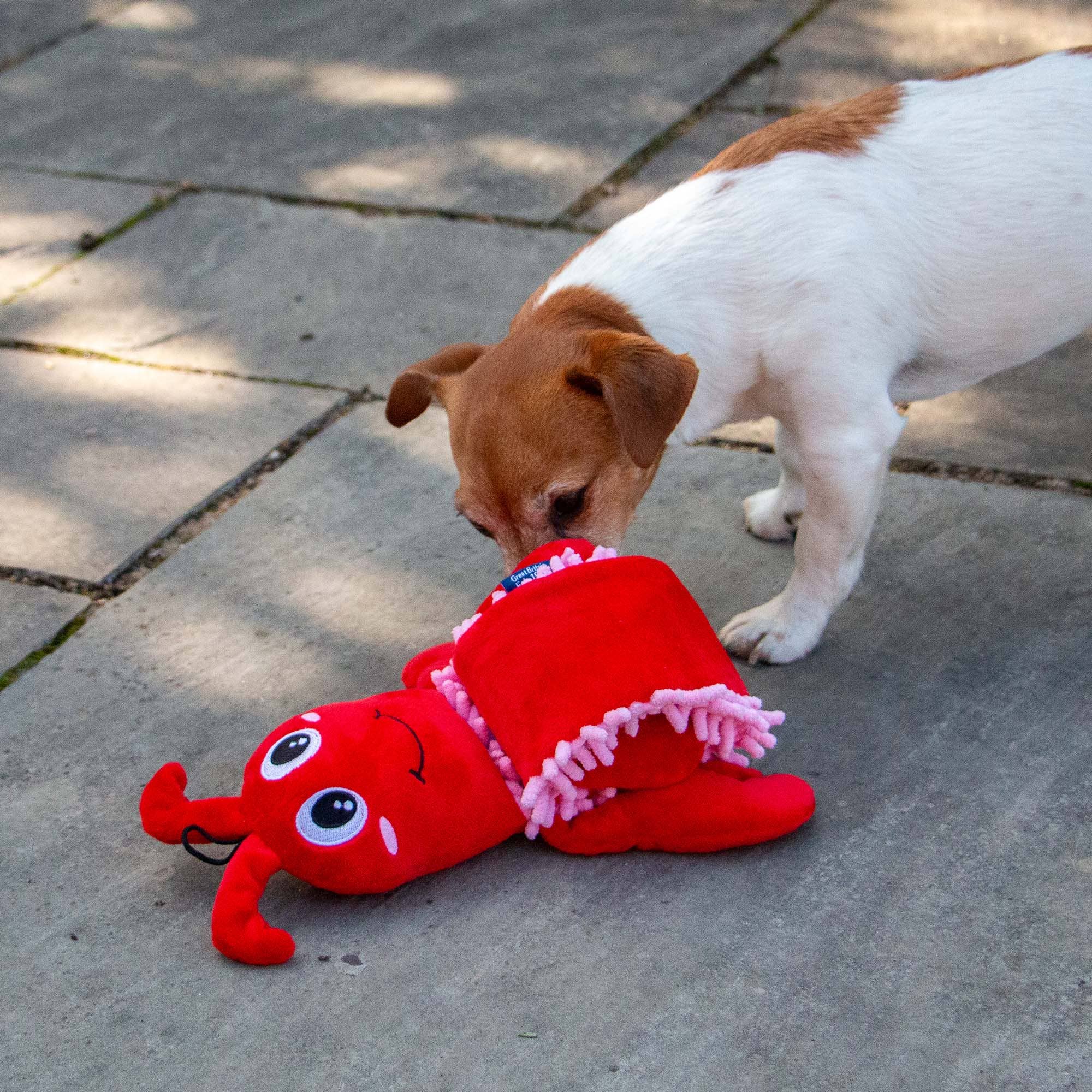 ÖRVA Snuffle Noodle Lobster -Dog Enrichment Toy - Image 6