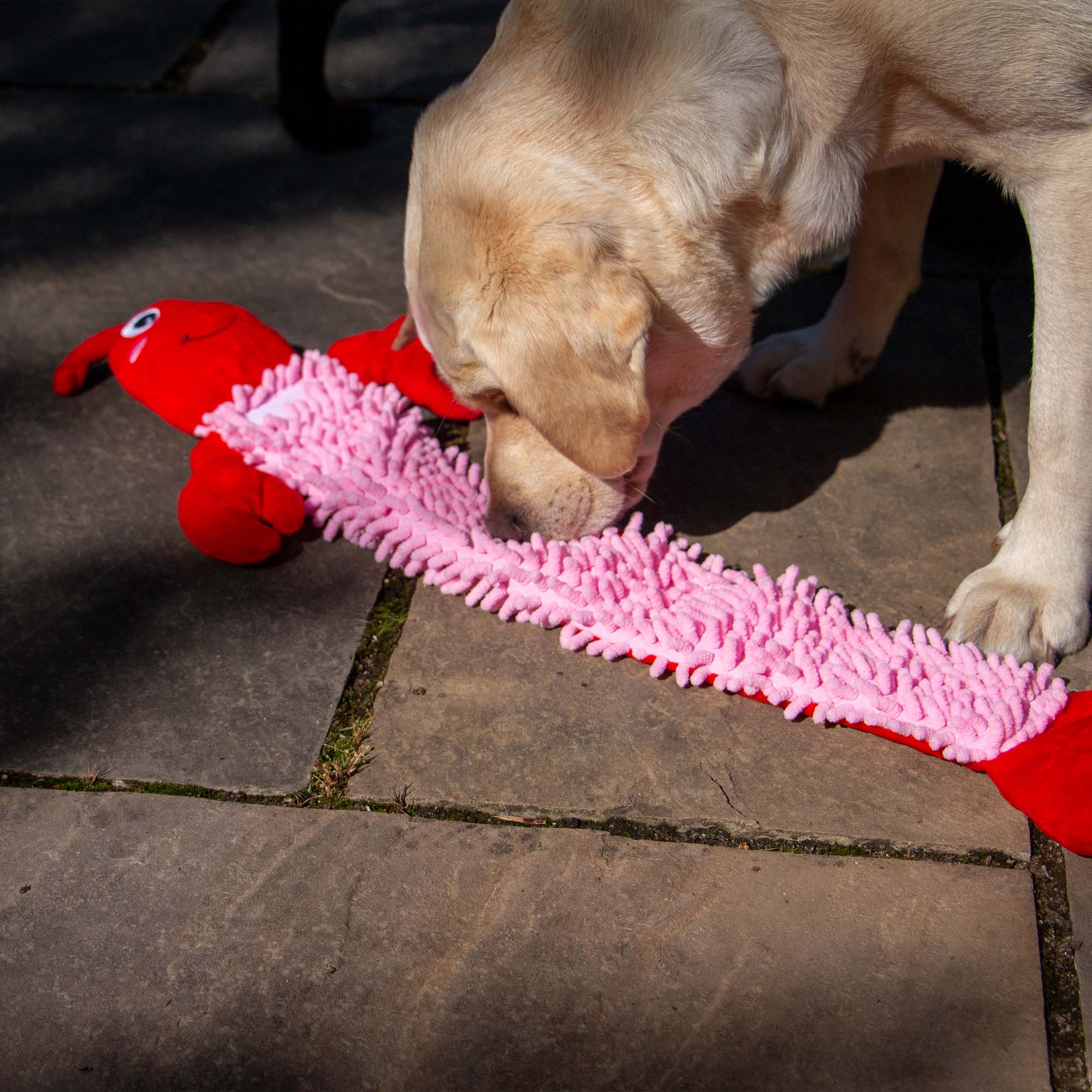 ÖRVA Snuffle Noodle Lobster -Dog Enrichment Toy - Image 8