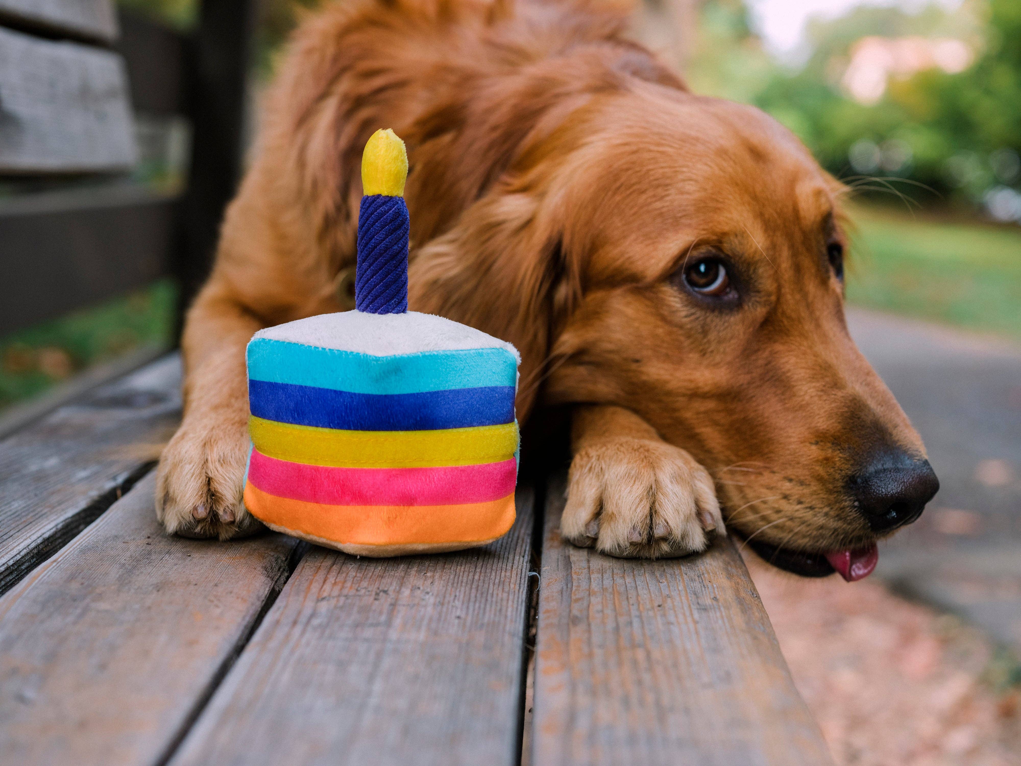 Party Time Bone-Appetit Cake Plush Dog Toy - Image 6