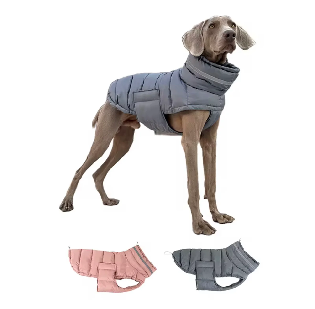 Quilted/Padded Dog coat with Underbelly Protection - Image 4