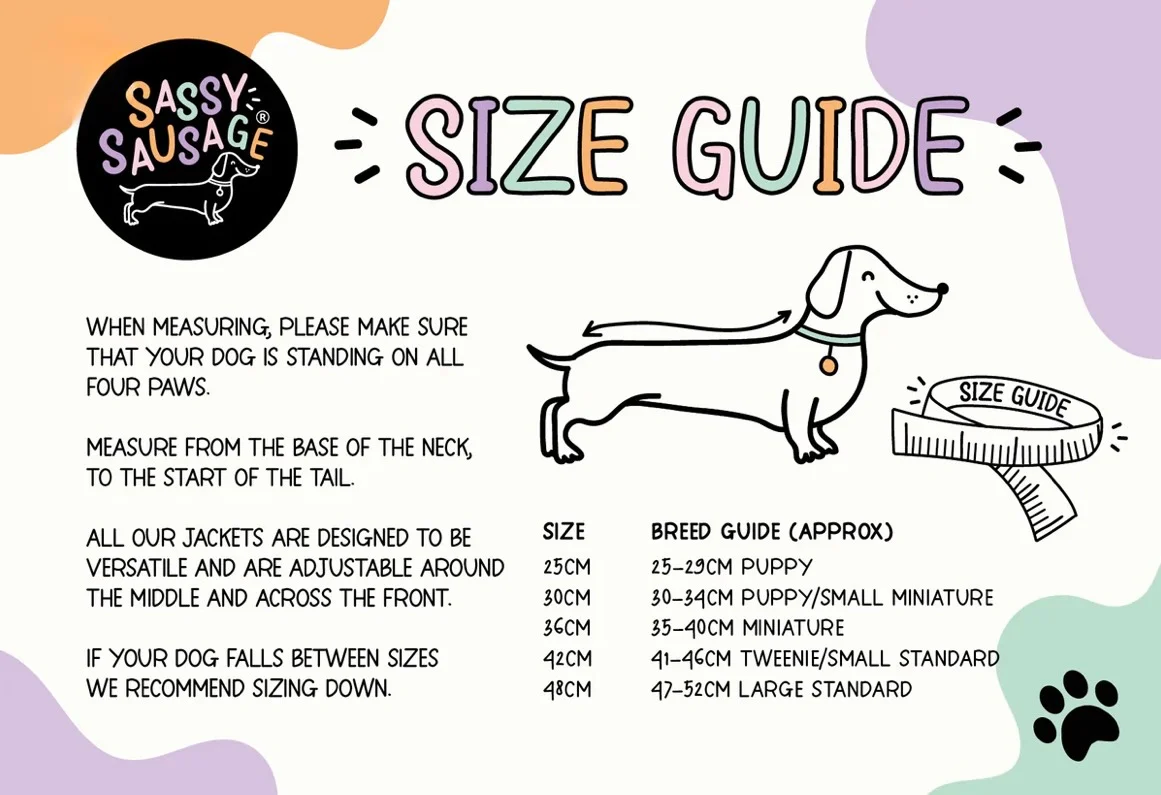 Sassy Sausage Essentials Jacket - Image 4