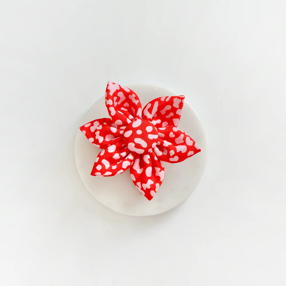 Red & Pink Leopard Collar Flower - Image 2