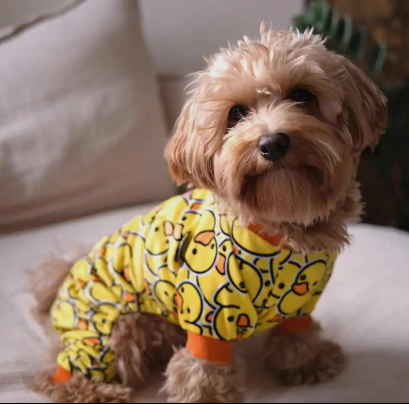 Rubber Duck Pyjamas - Image 3