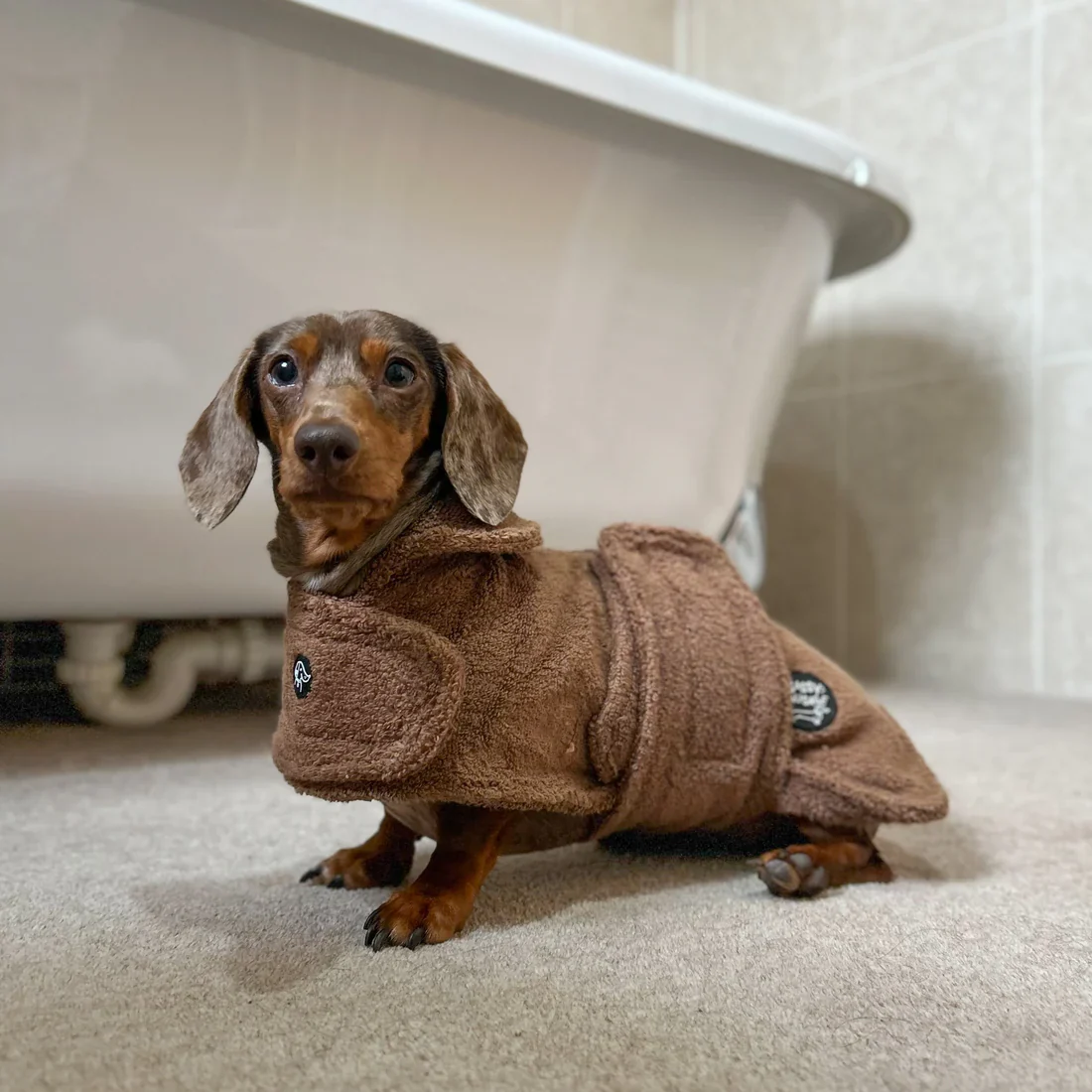Sassy Sausage Dachshund Towel Robe - Image 4