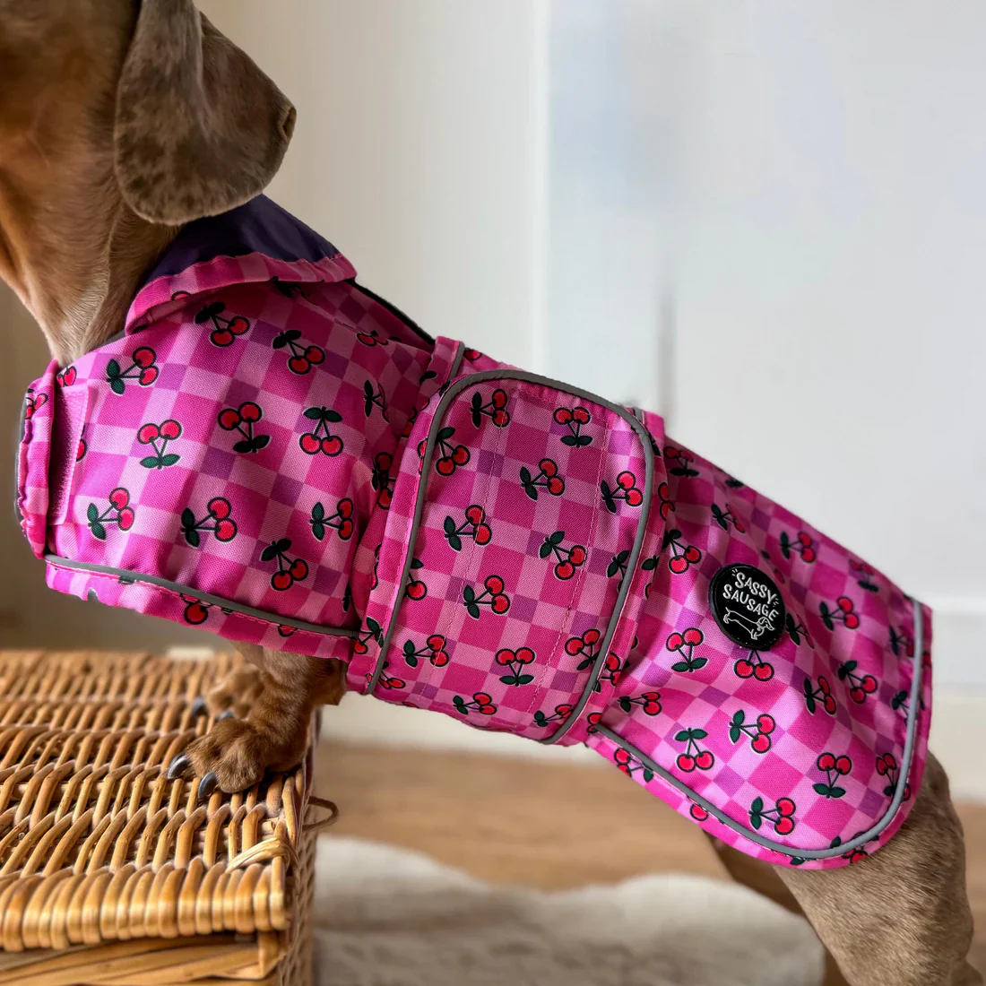 🍒 Cherries Lightweight Dachshund Jacket 🍒 - Image 6