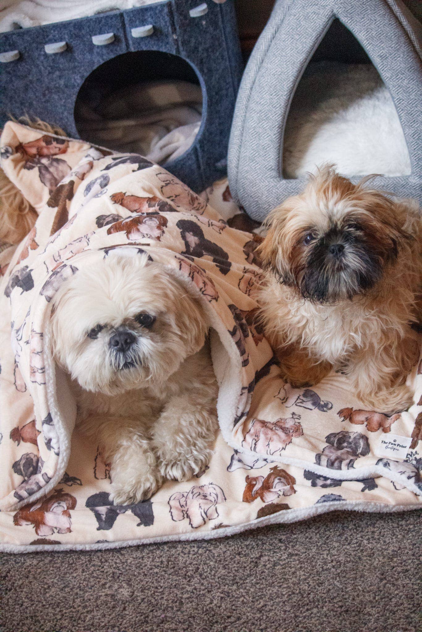 Shih Tzu Dog Blanket - Image 4