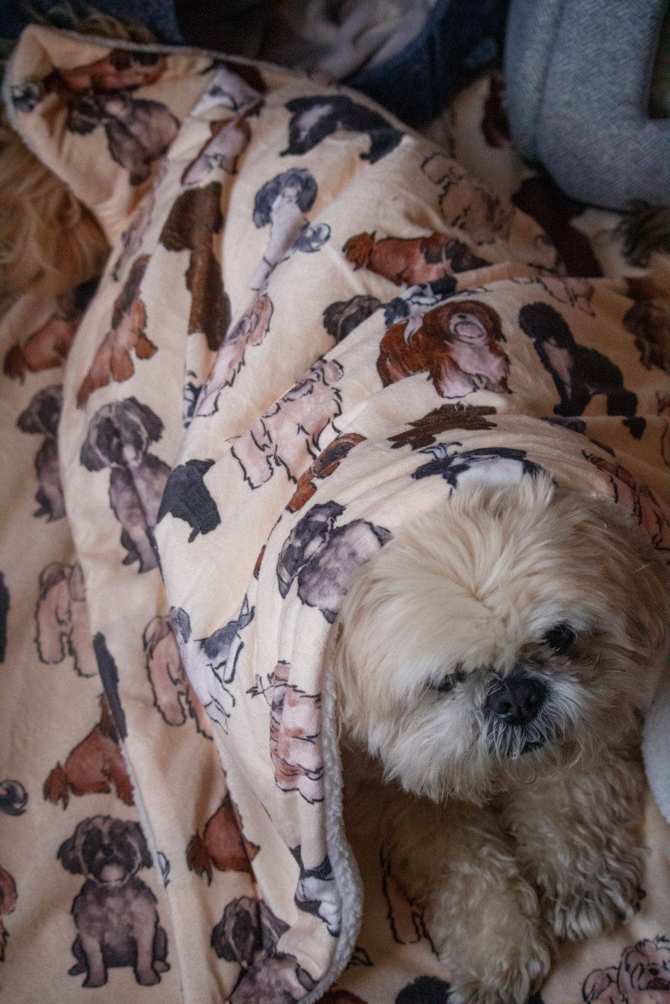 Shih Tzu Dog Blanket - Image 5