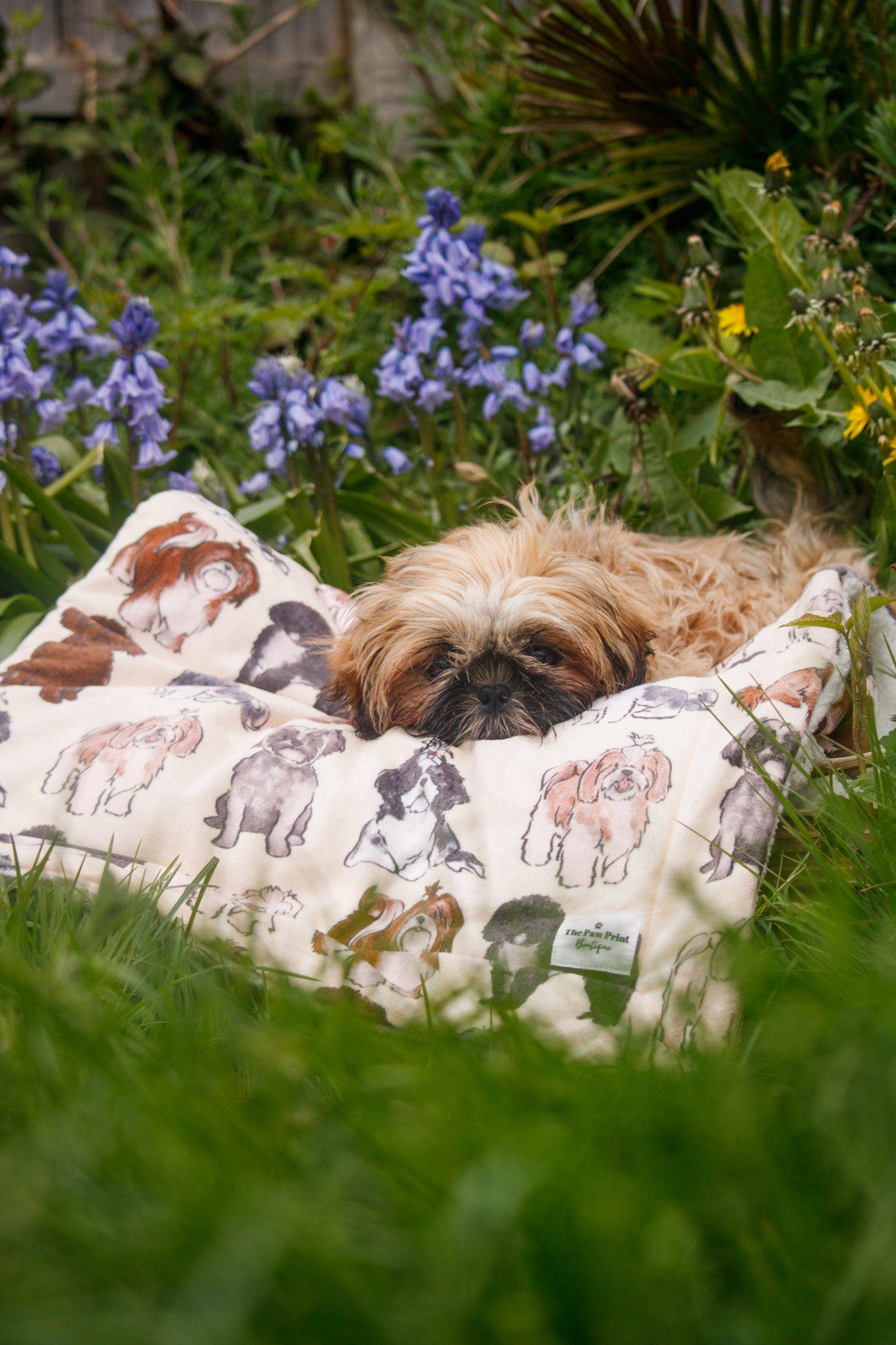 Shih Tzu Dog Blanket - Image 6