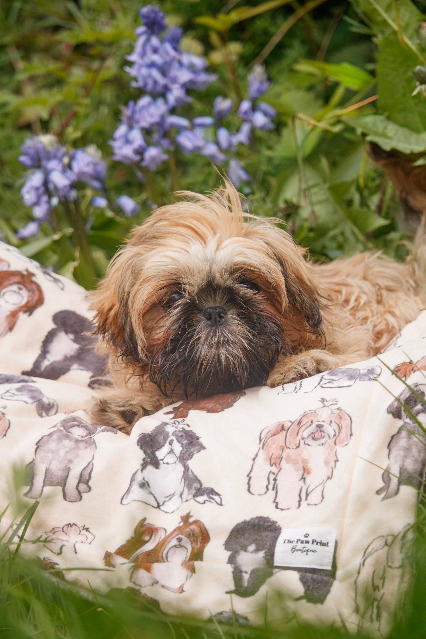 Shih Tzu Dog Blanket - Image 7