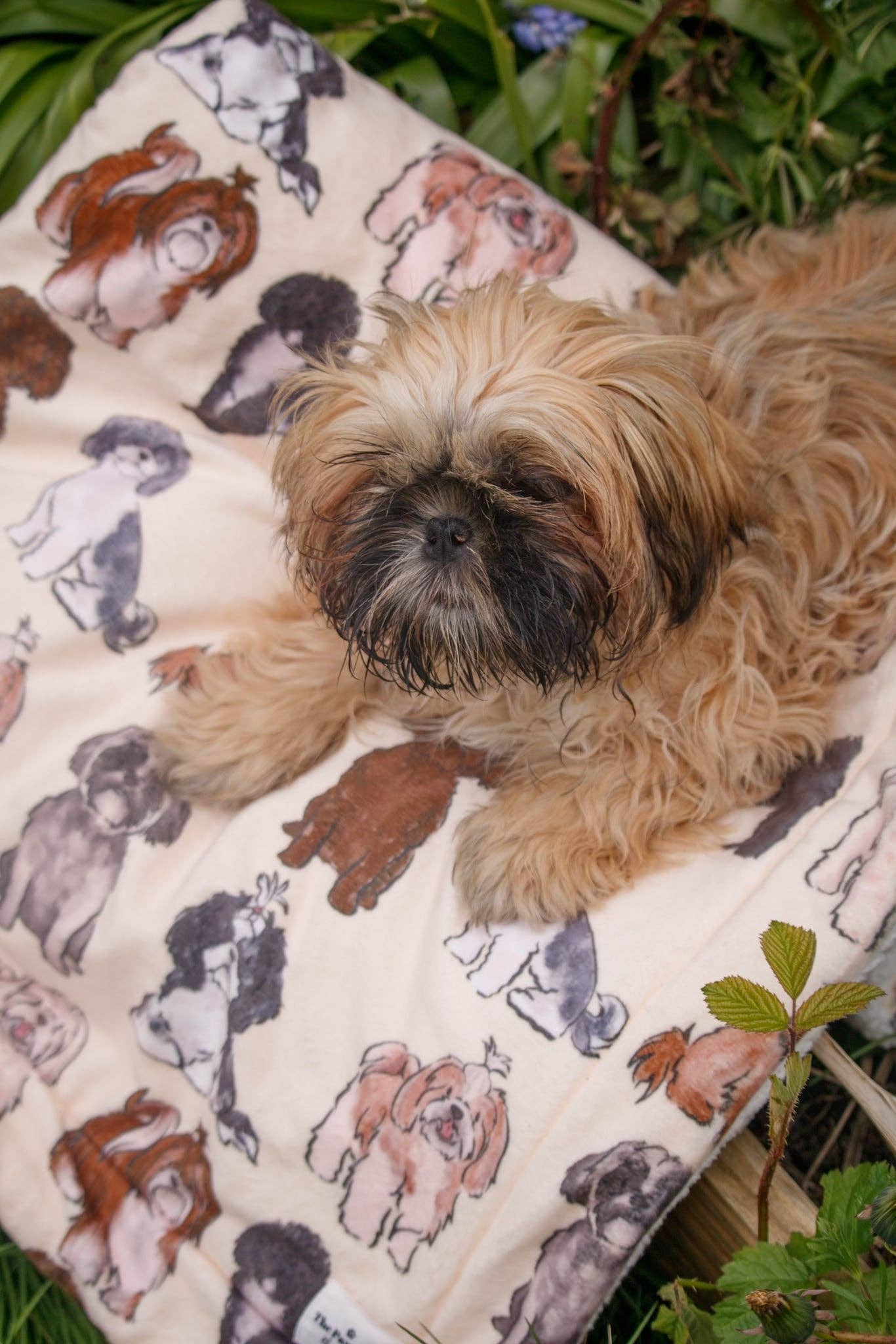 Shih Tzu Dog Blanket - Image 8