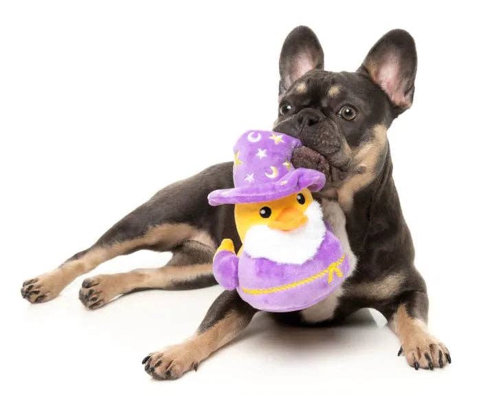 Sirius Quack - Dog Toy: Small - Image 2