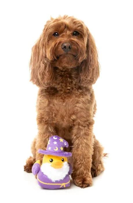 Sirius Quack - Dog Toy: Small - Image 6