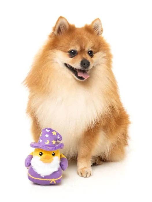 Sirius Quack - Dog Toy: Small - Image 7