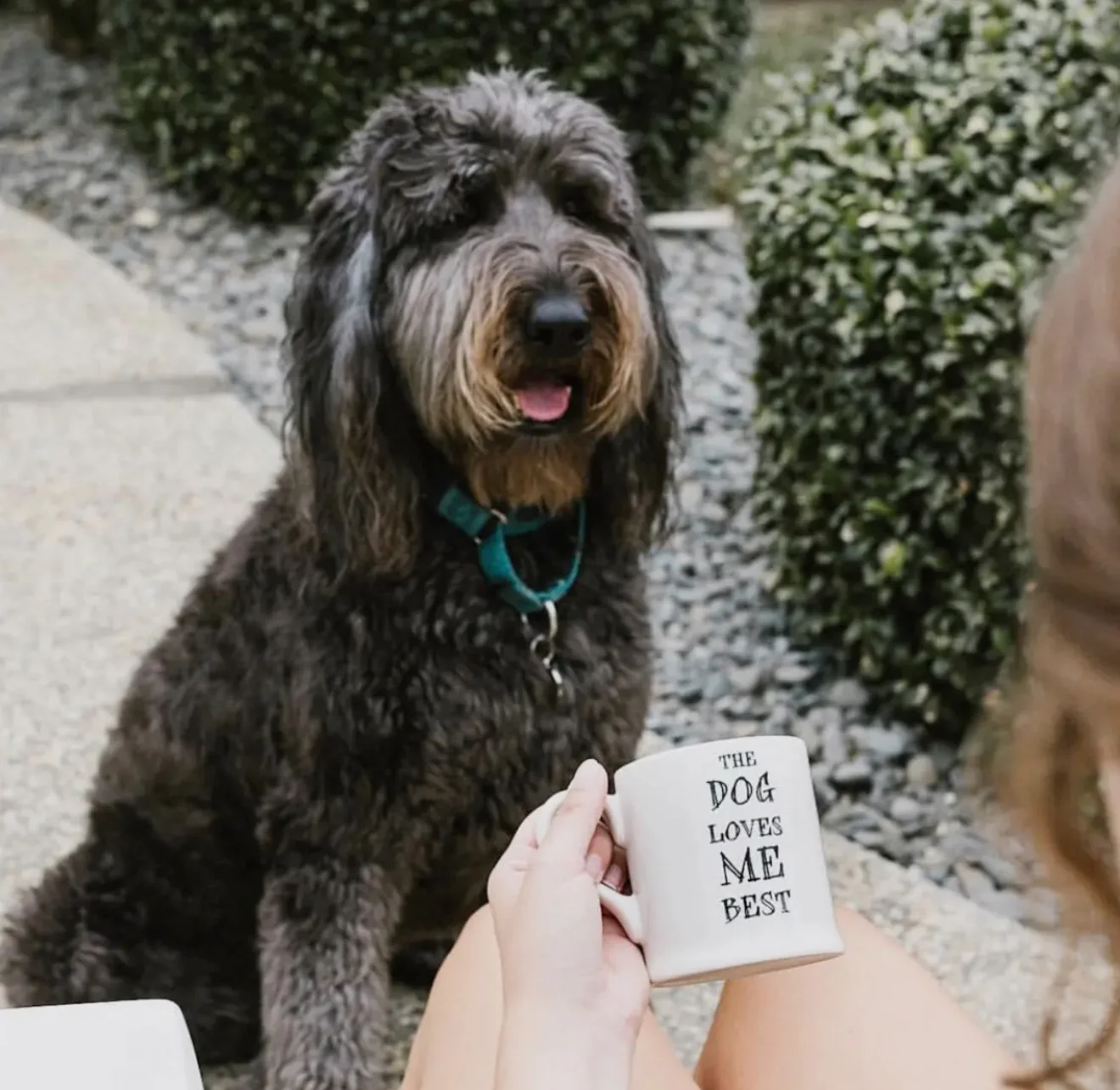 Slogan Mug - Dog Loves Me Best - Image 2