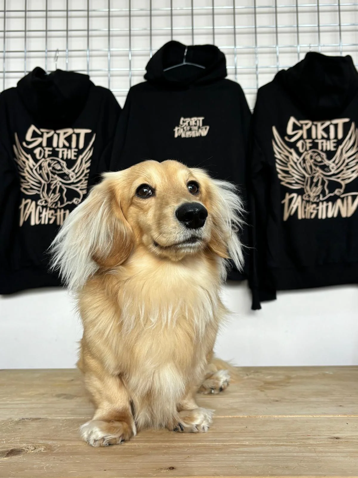 Spirit Of The Dachshund Signature Hoodie - Image 3