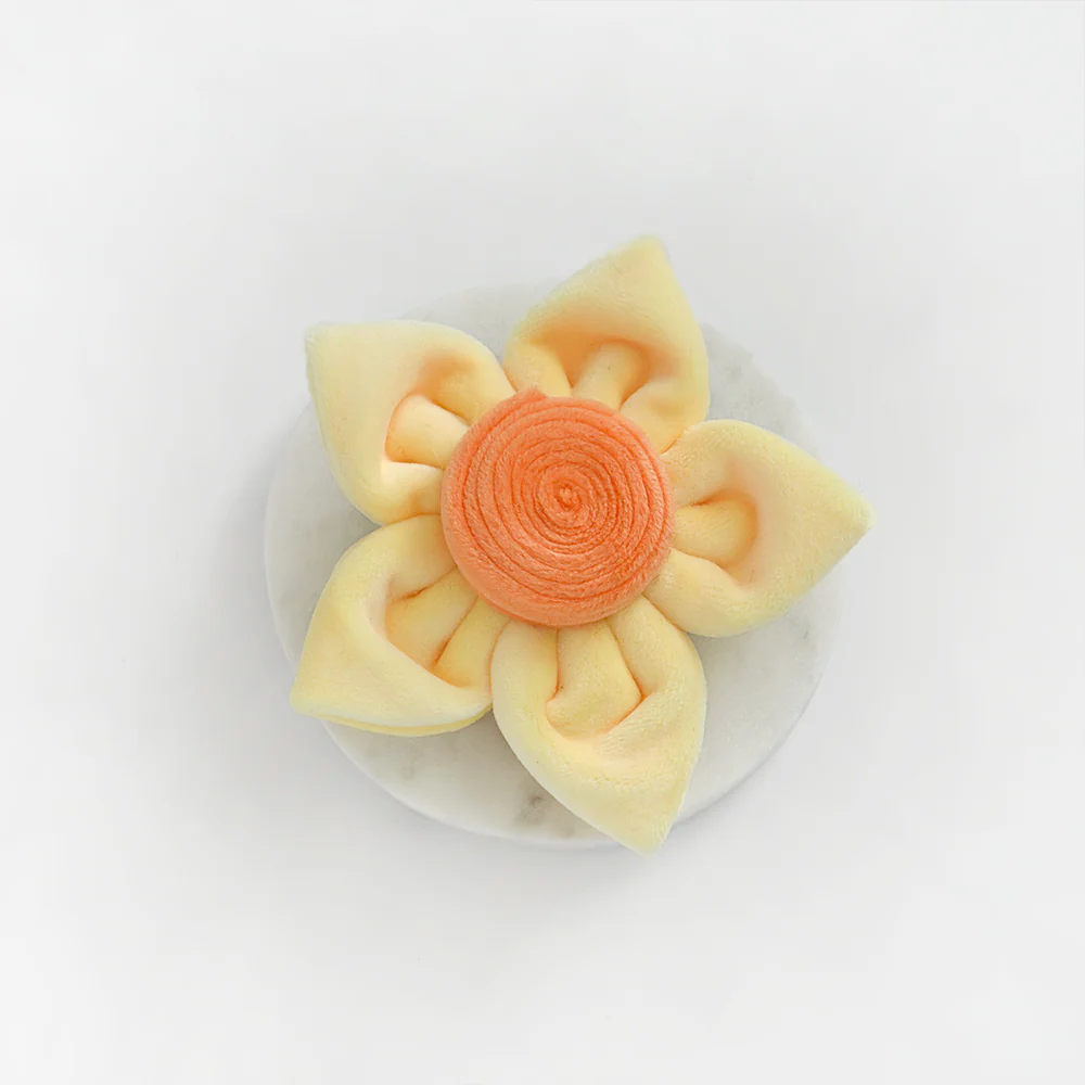 Spring Daffodil Collar Flower