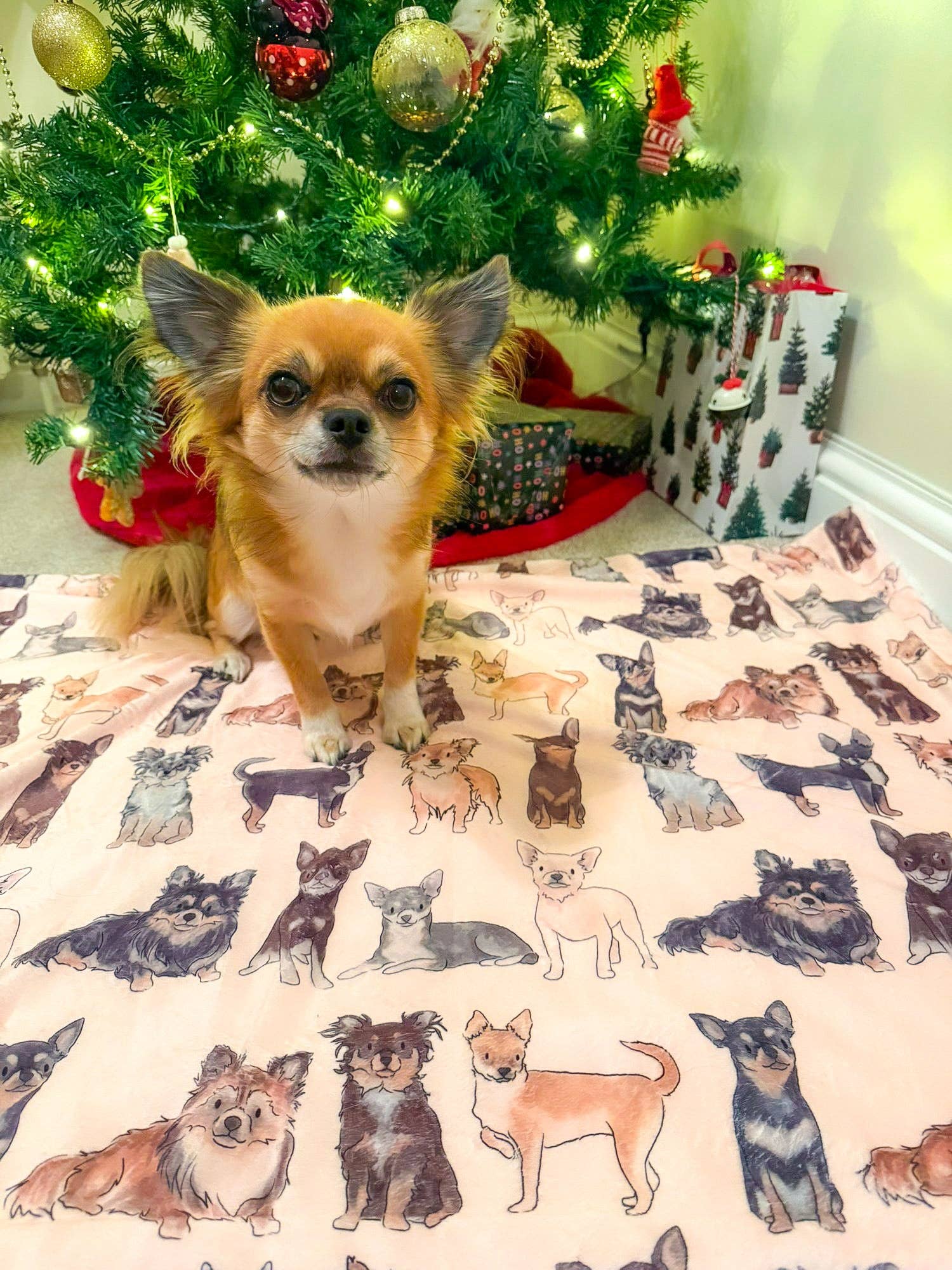 The Chihuahua Dog Blanket - Image 4