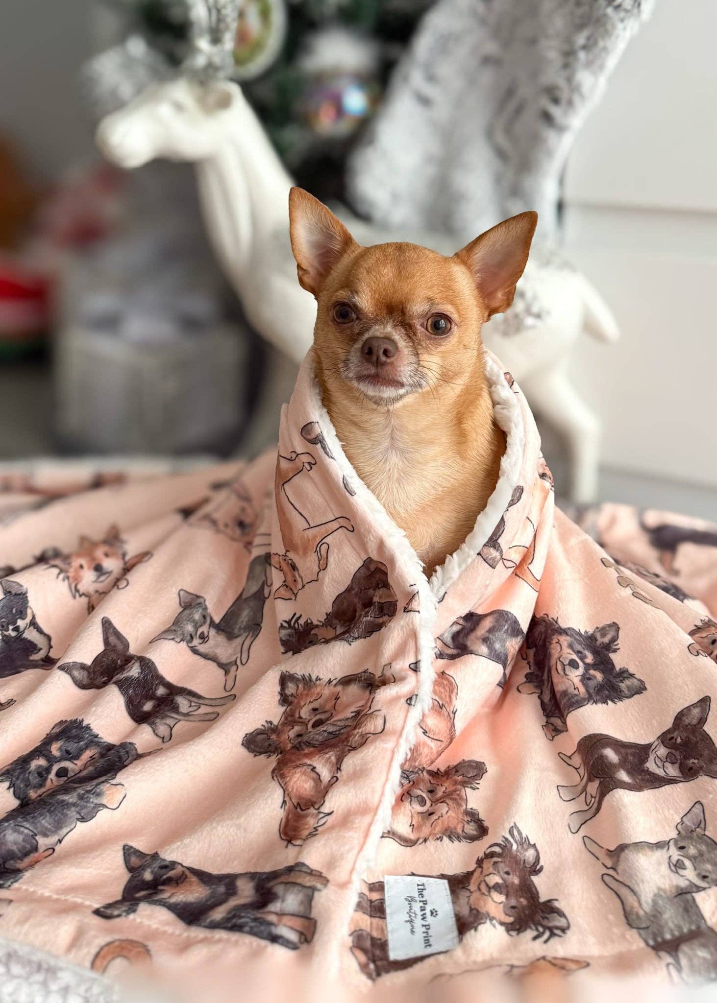 The Chihuahua Dog Blanket - Image 7