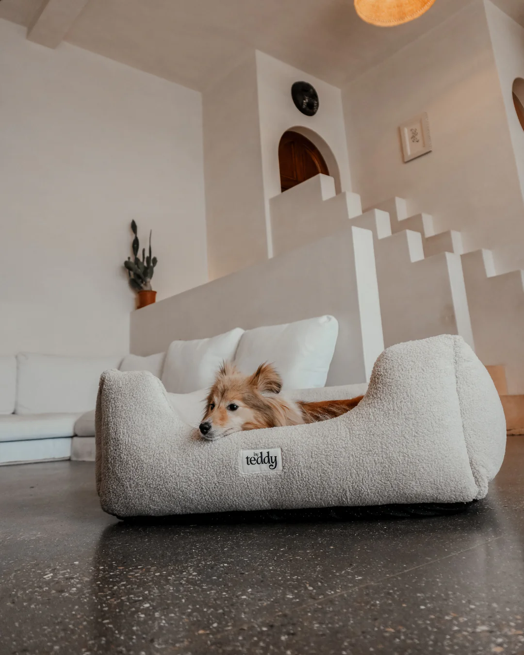 The Cosy Bed - Image 4