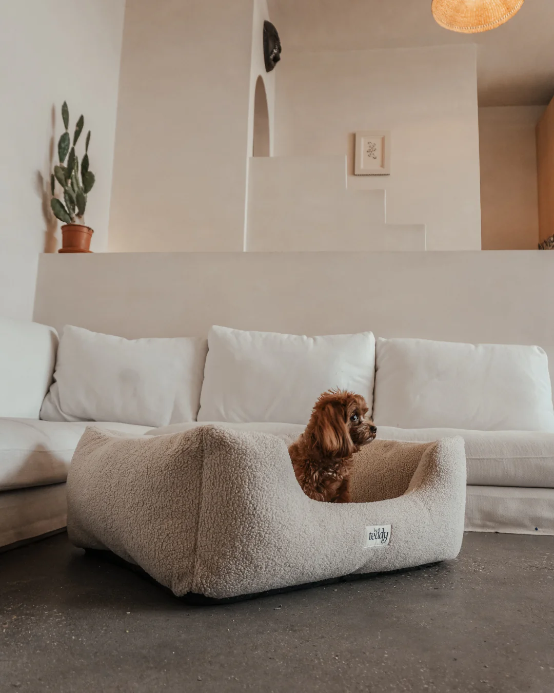 The Cosy Bed - Image 8