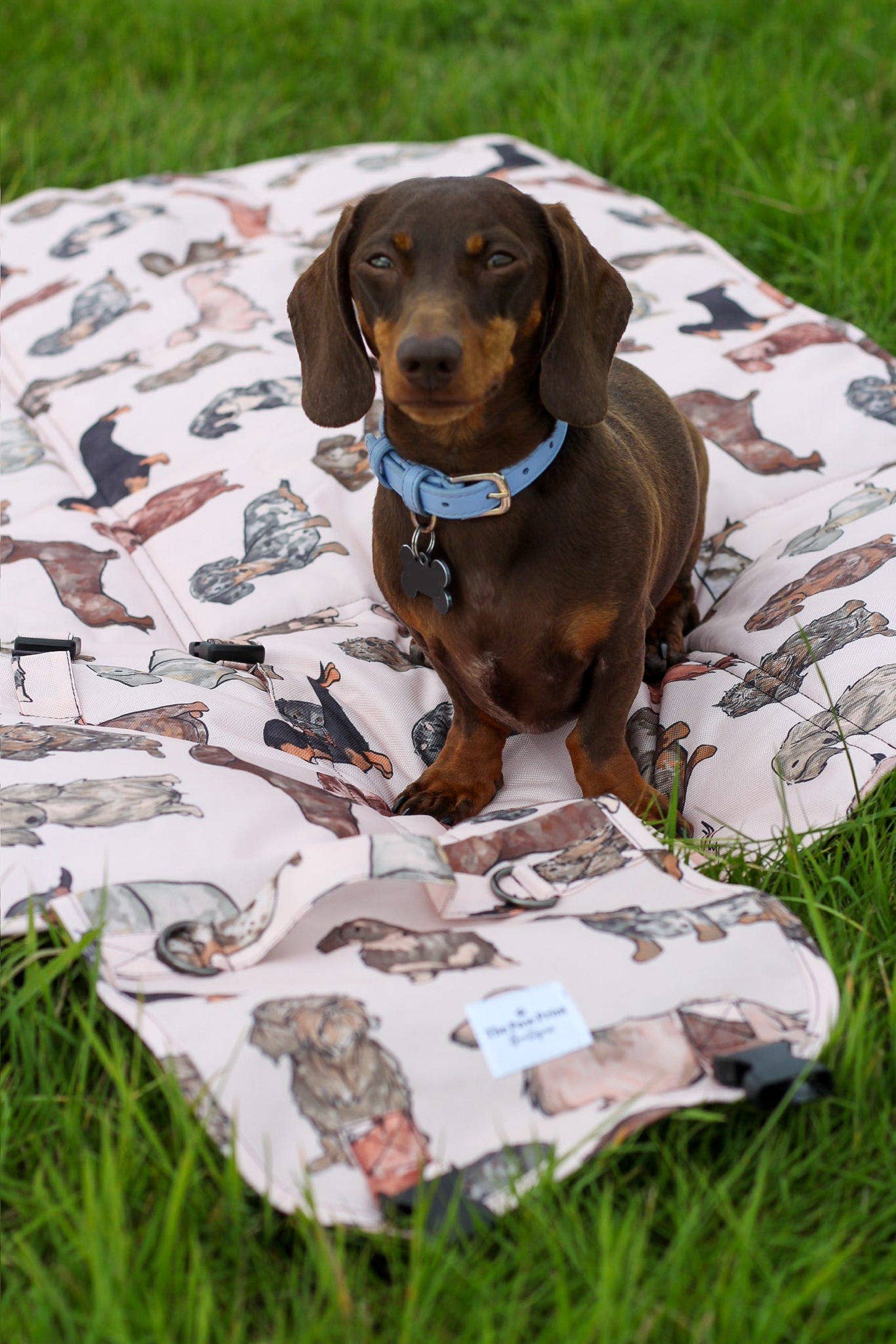 The Dachshund Travel Mat - Image 5