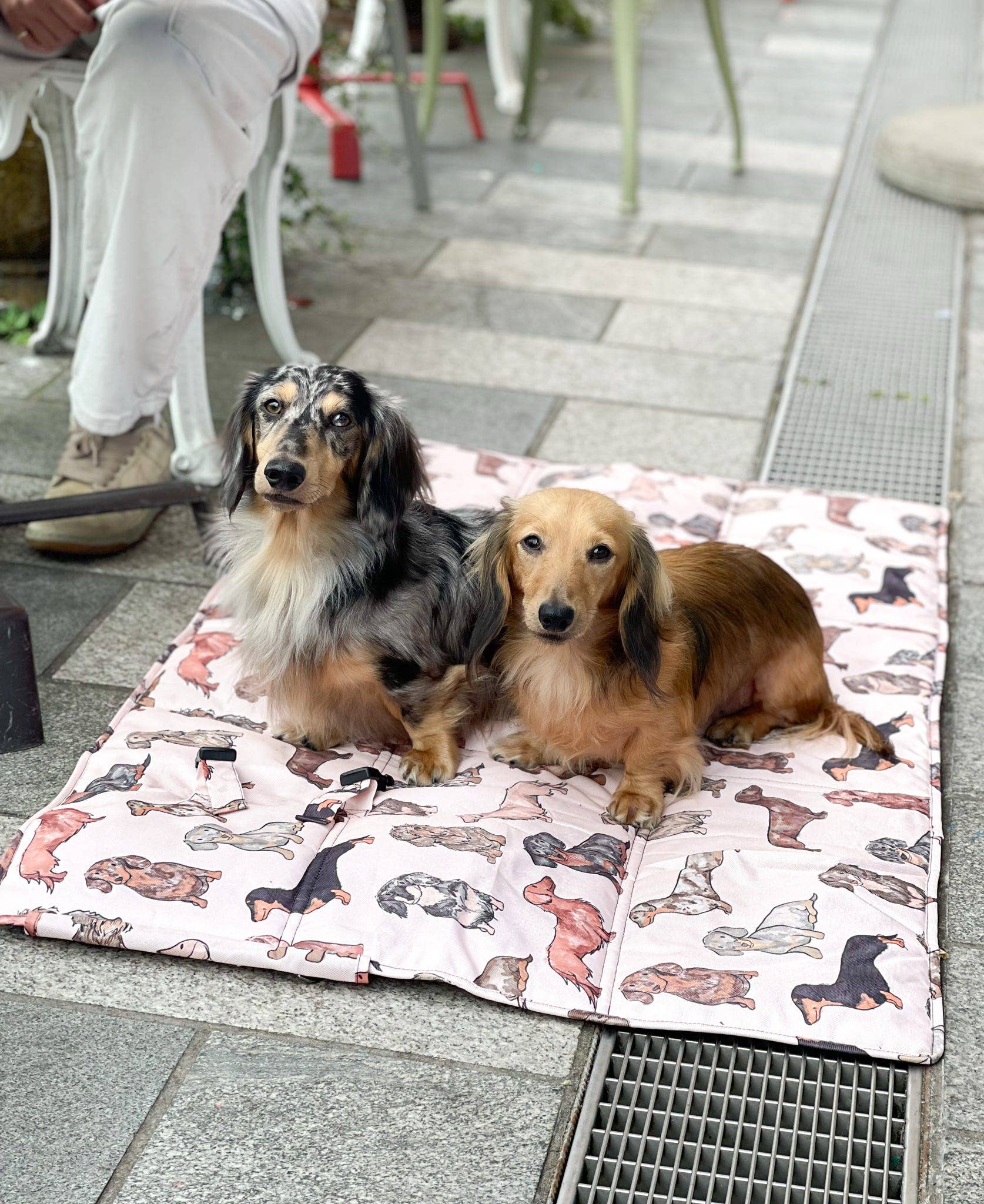 The Dachshund Travel Mat - Image 6
