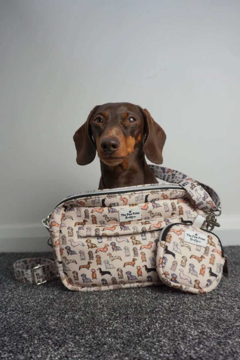 The Dachshund Dog Walking Bag - Image 5