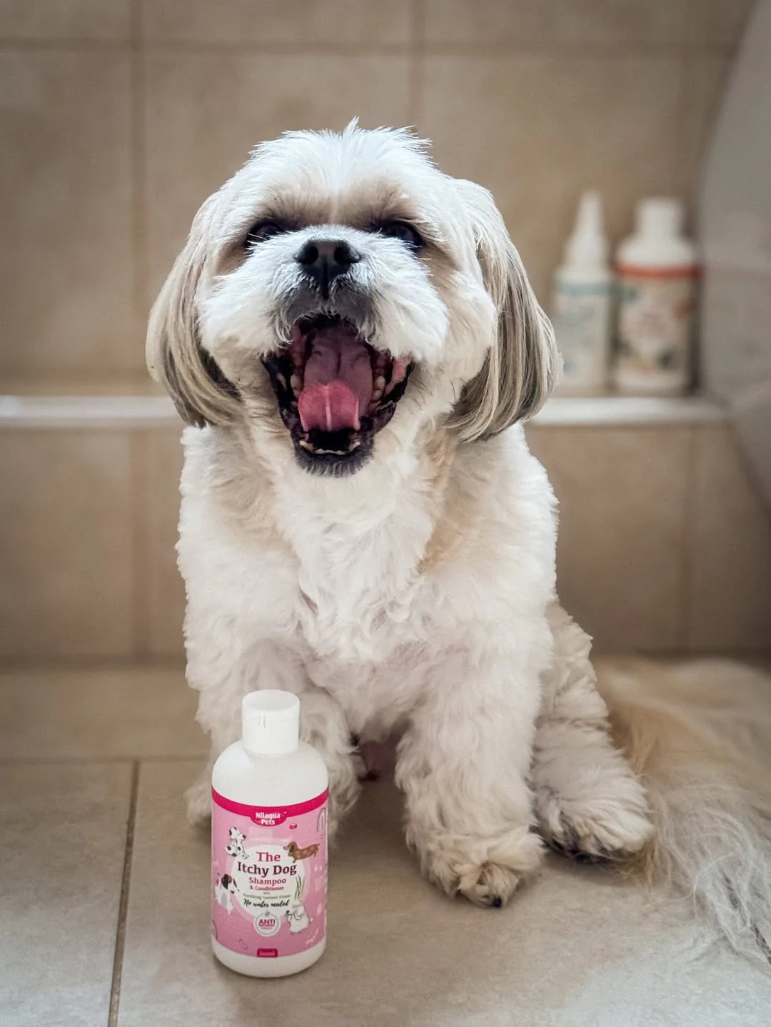 The Itchy Dog Shampoo & Conditioner 240ml - Image 3