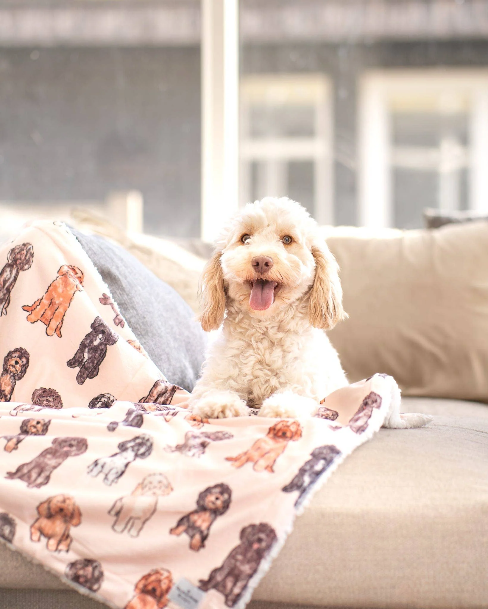 The Oodles & Doodles Dog Blanket - Image 10