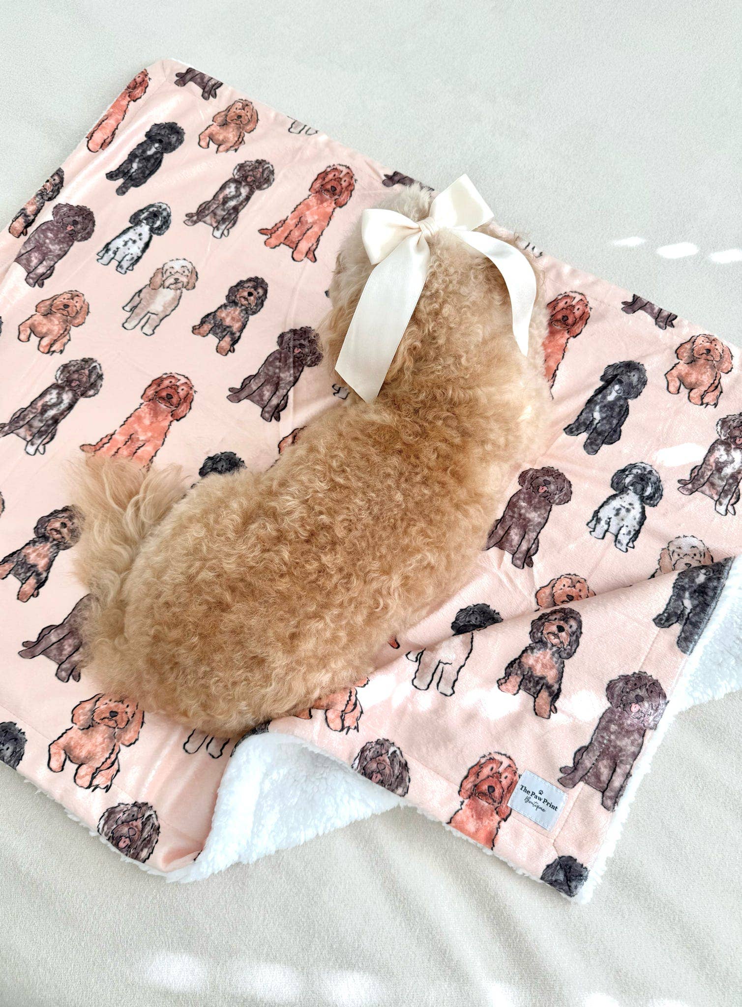 The Oodles & Doodles Dog Blanket - Image 3