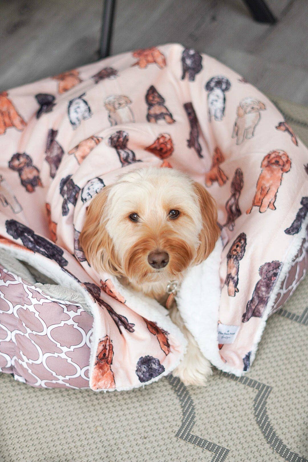 The Oodles & Doodles Dog Blanket - Image 4