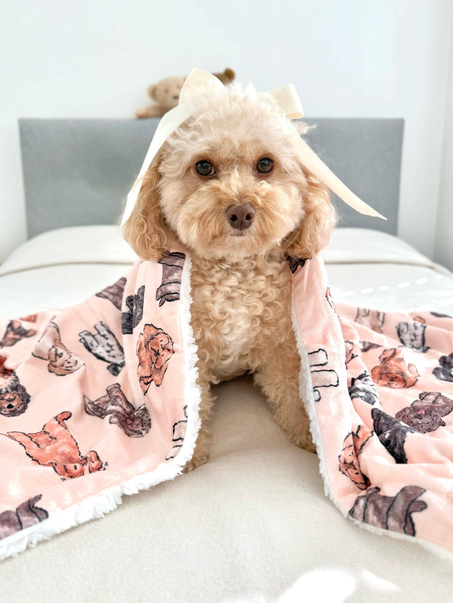The Oodles & Doodles Dog Blanket - Image 7