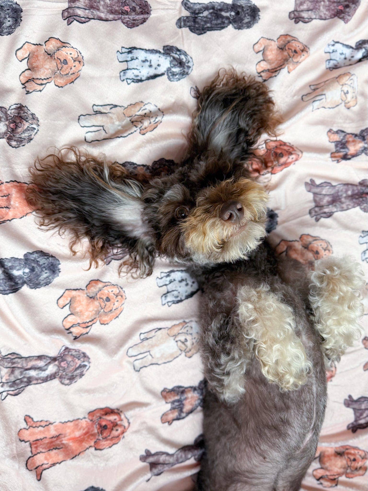 The Oodles & Doodles Dog Blanket - Image 8